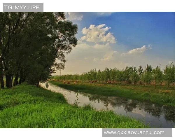 探索阿拉巴的魅力与文化深度，感受这片土地的独特风情与历史韵味